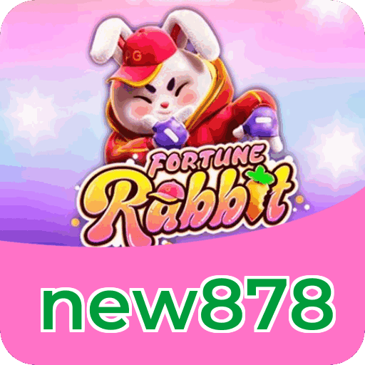 new878 — download do app e privacidade de dados